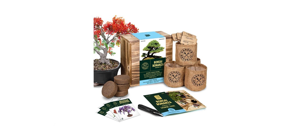 best Garden Republic Bonsai Tree Seed Starter Kit