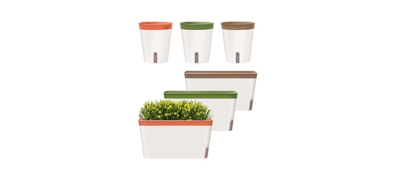 Best GardenBasix Self-Watering Pots