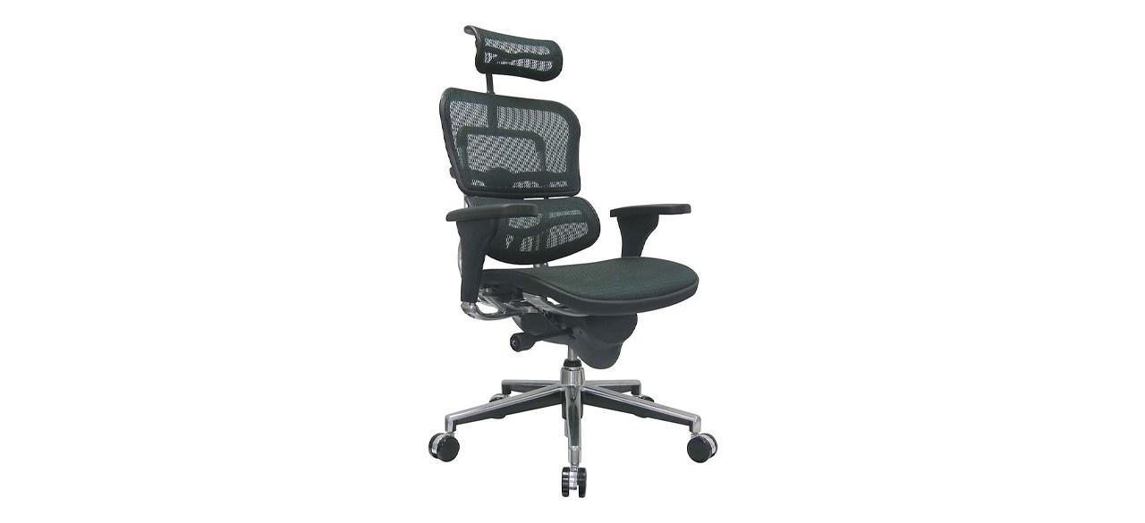 ErgoHuman EuroTech Mesh Chair