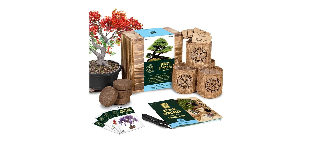 Garden Republic Bonsai Starter Kit