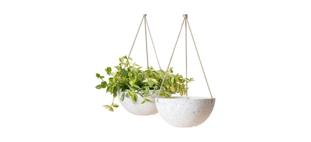 La Jolie Muse Hanging Planters Set of Two