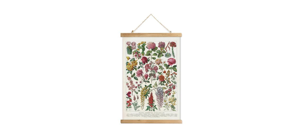 XIAOAIKA Vintage Wildflowers Poster