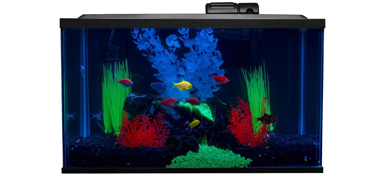 GloFish Aquarium Kit Fish Tank with LED Lighting and Filtration Included