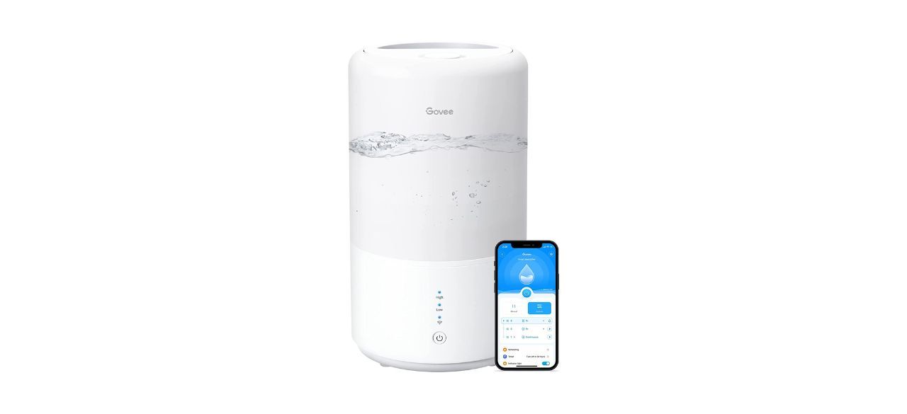 Best Govee Smart Humidifier