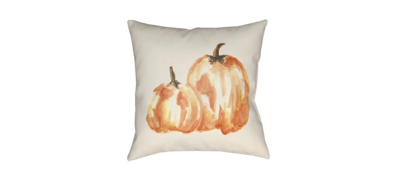 Best Goyette Pumpkin Square Pillow Cover and Insert