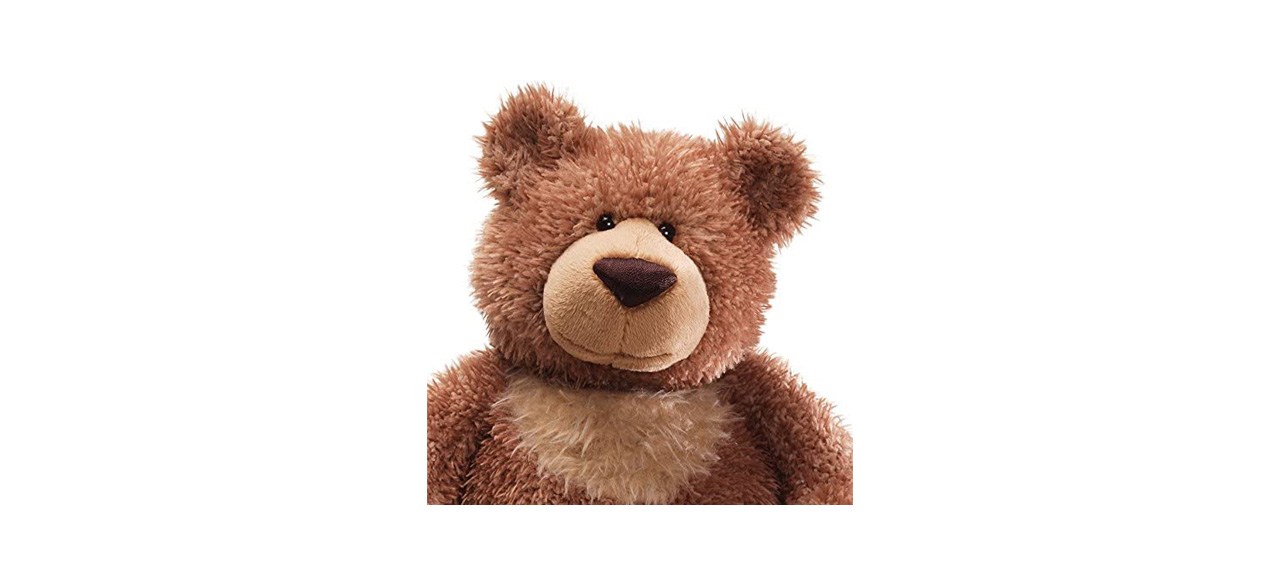 Best Gund Slumbers Premium Classic Teddy Bear