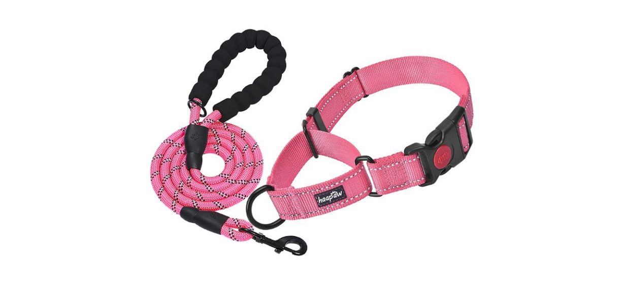 Best Haapaw Martingale Dog Collar With Leash