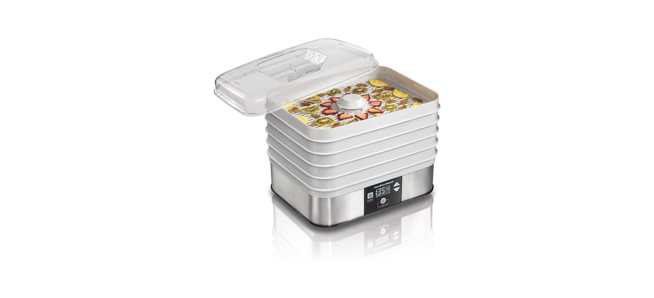 Best Hamilton Beach Digital Food Dehydrator