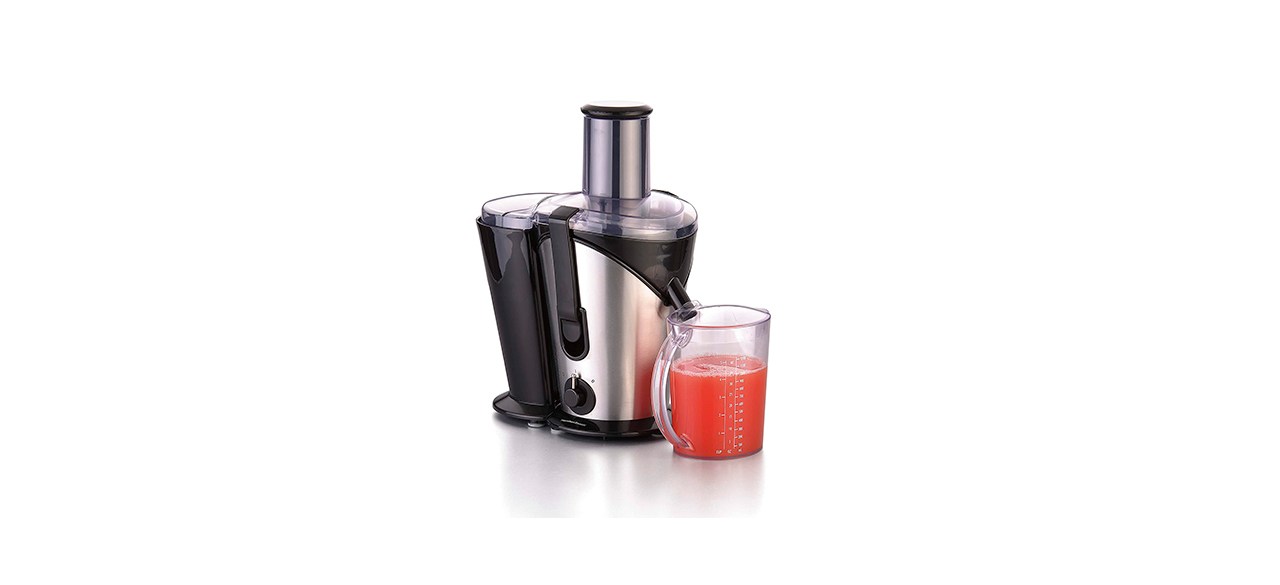 Best Hamilton Beach Juicer Machine