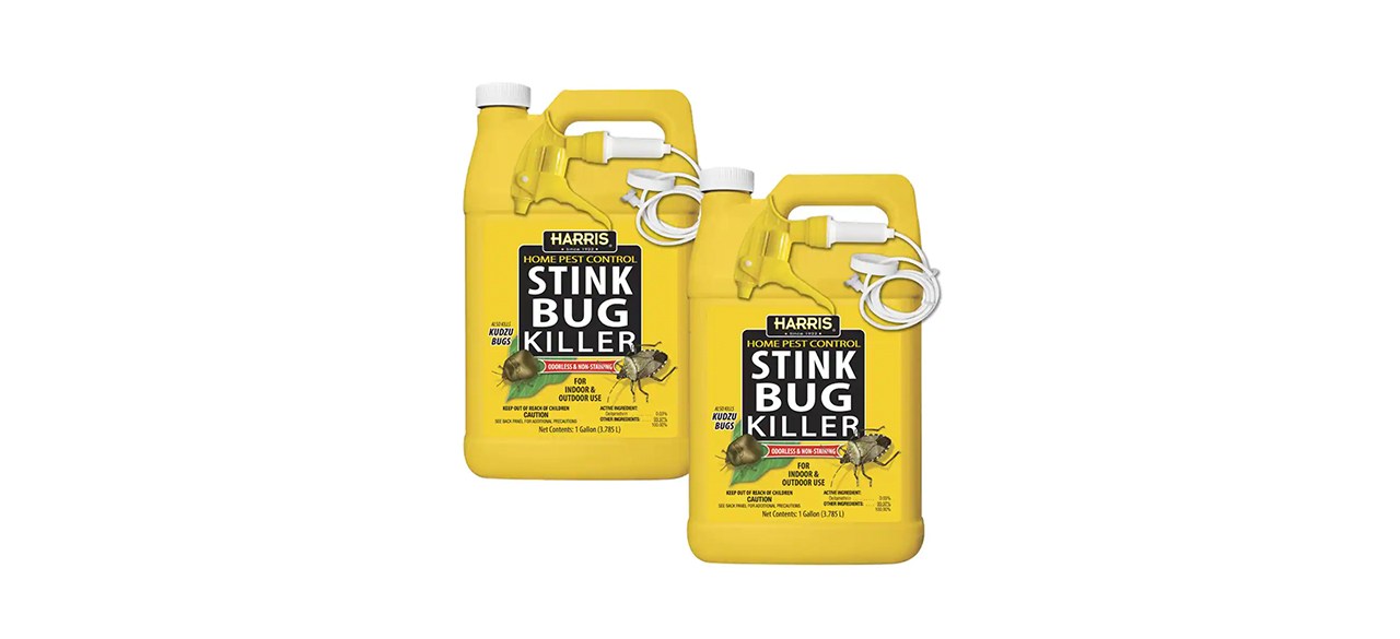 Best Harris Stink Bug Killer