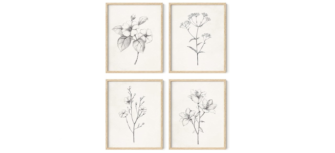 a series of four framed pencil drawings depicting flowers