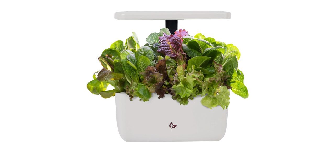 AeroGarden Harvest 2.0 Indoor Garden Hydroponic System