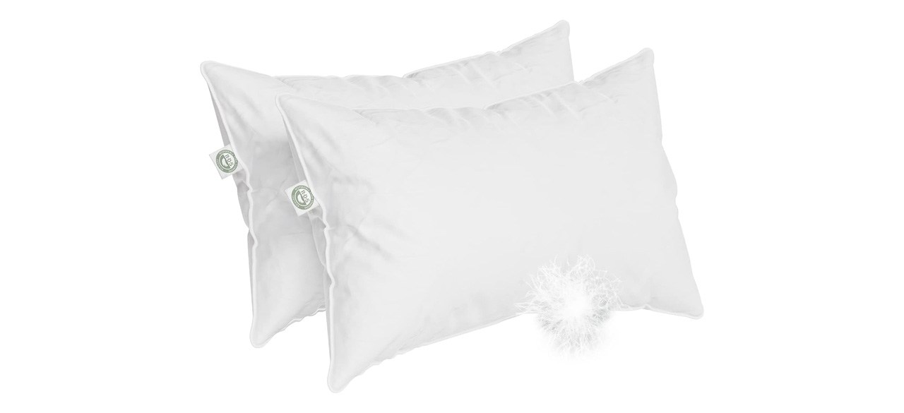 East Coast Elite European Down Dream Pillow