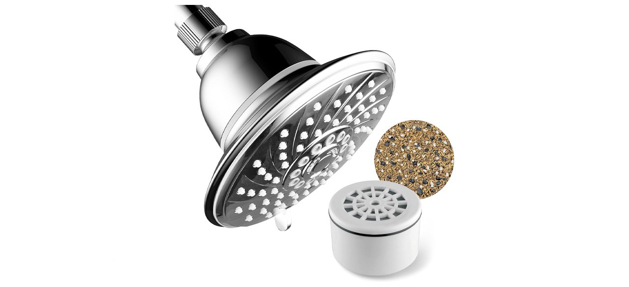 Hotel Spa 6-Spray Rain Showerhead