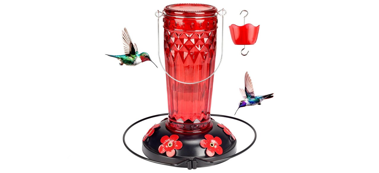 Hummingbird Feeder-16 Ounces, 6 Feeding Ports