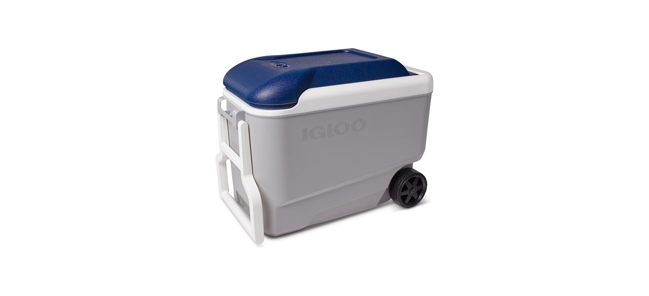 best Igloo Wheeled Cooler