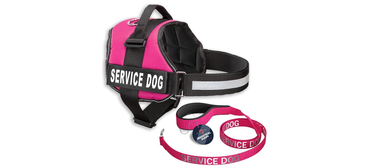 Industrial Puppy Service Dog Vest with Matching Leash
