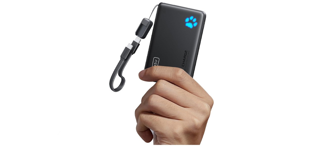 INIU Portable Charger
