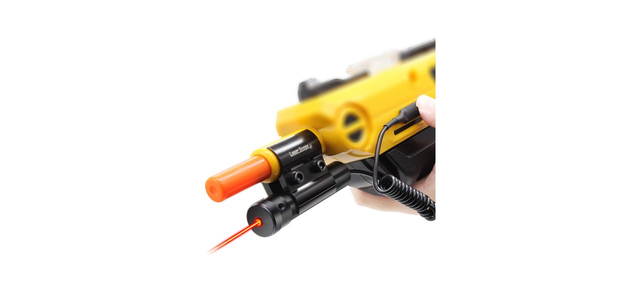 best Insect Salt Gun Laser