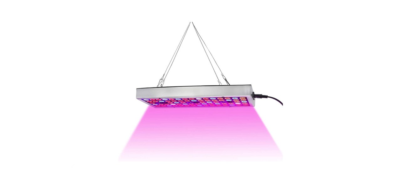 best Juhefa LED Grow Lights