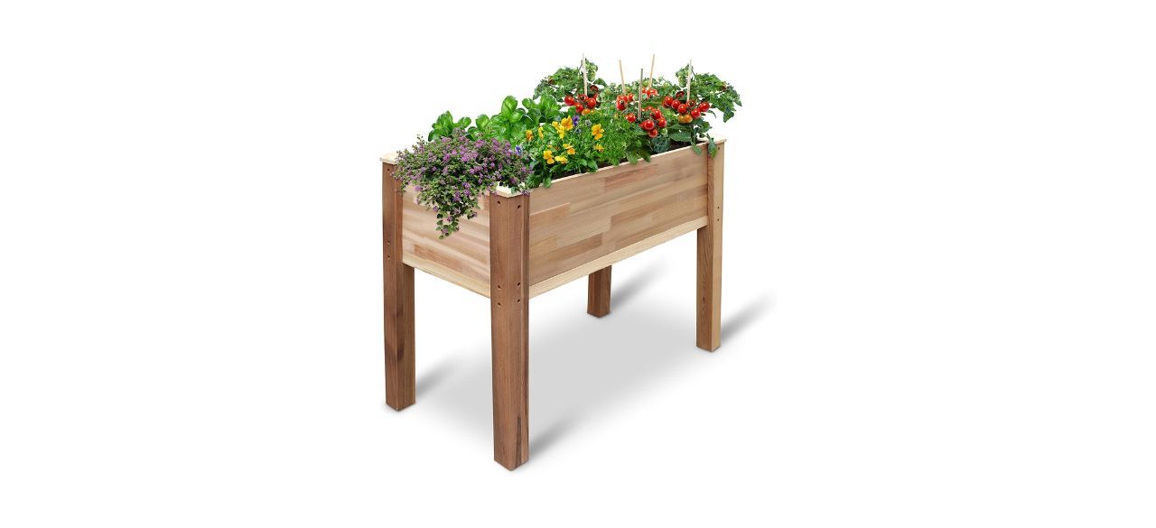 Best Jumbl Raised Canadian Cedar Garden Bed 