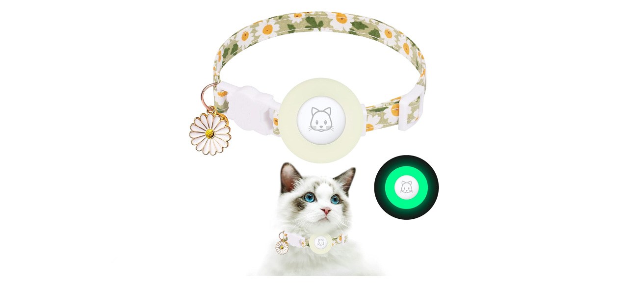 cat collar with bell and a silicone Airtag holder