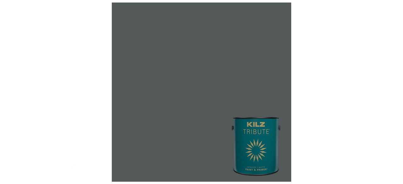 Kilz Tribute Typewriter Interior Matte Paint & Primer