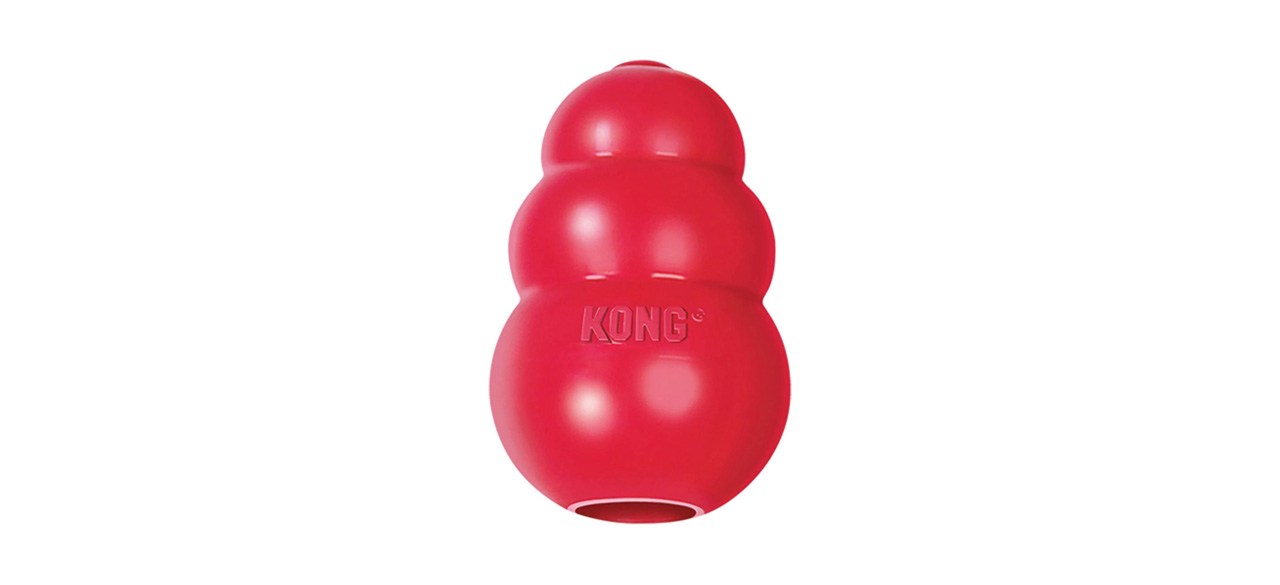 Best KONG Classic Dog Toy