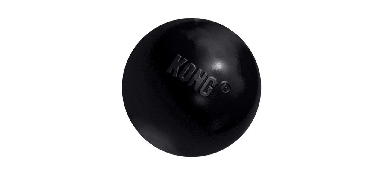 Kong Extreme Ball 