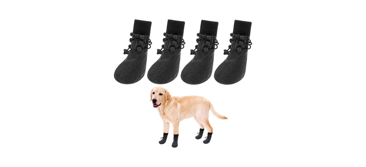 Dog Boots with a dog below them, wearing the boots