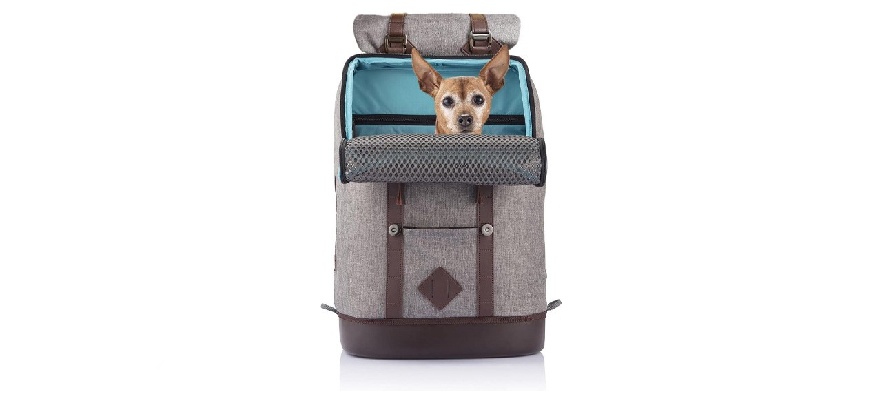 Kurgo Dog Carrier Backpack