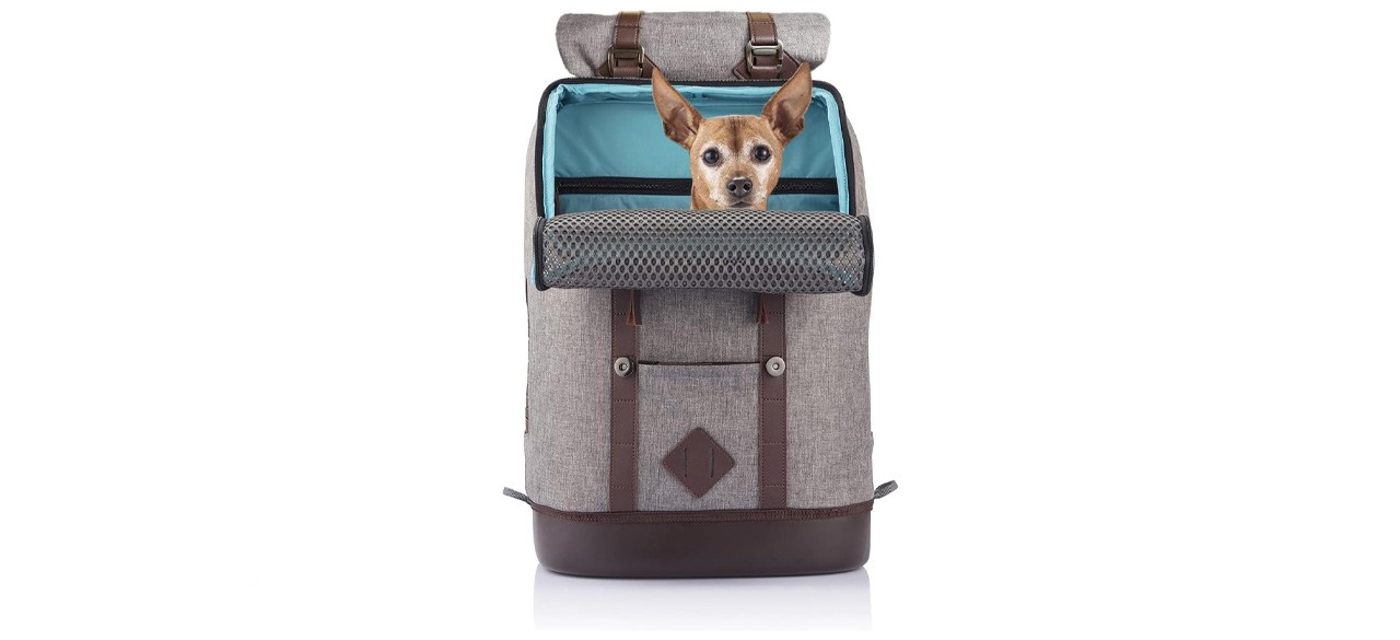 Kurgo K9 Pet Carrier Backpack