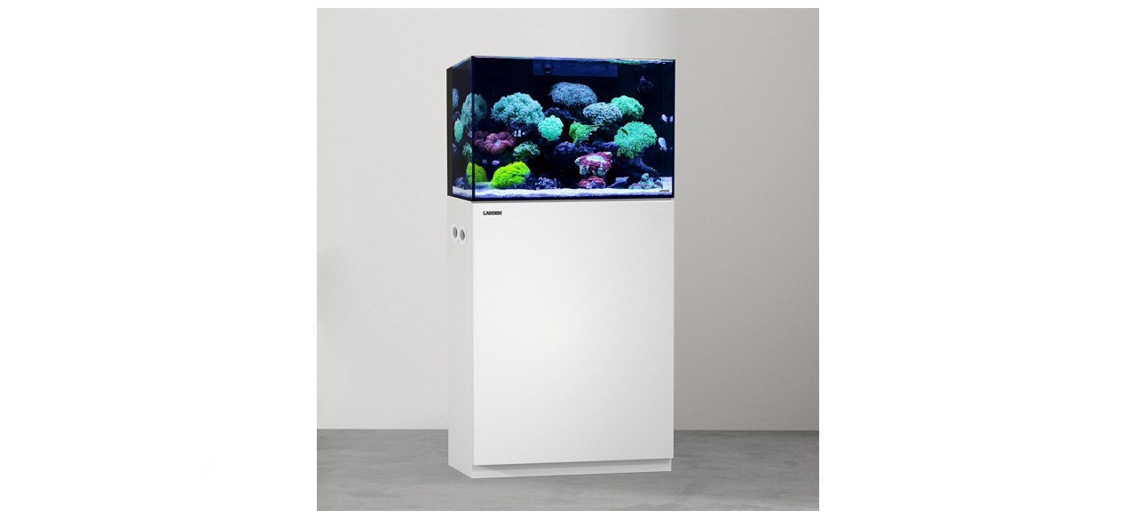 Landen Aquarium Wooden Stand