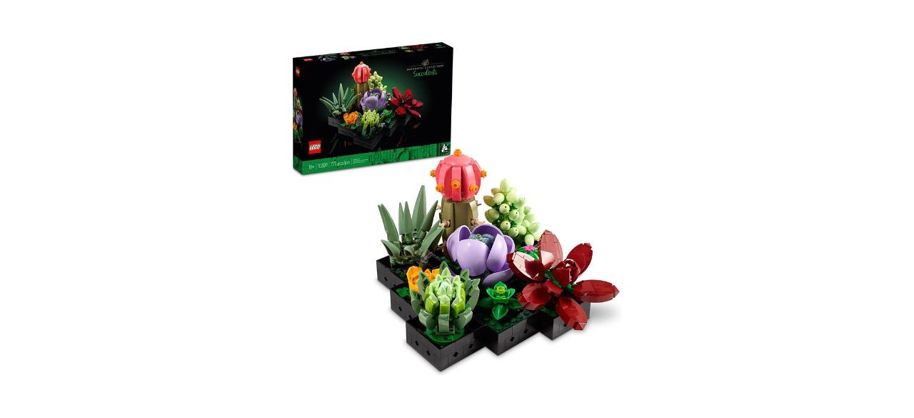 Best Lego Succulent Building Set