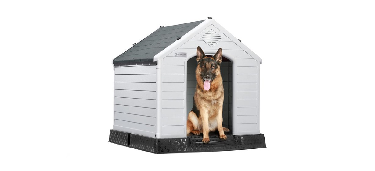 Best Lemberi Insulated Dog House