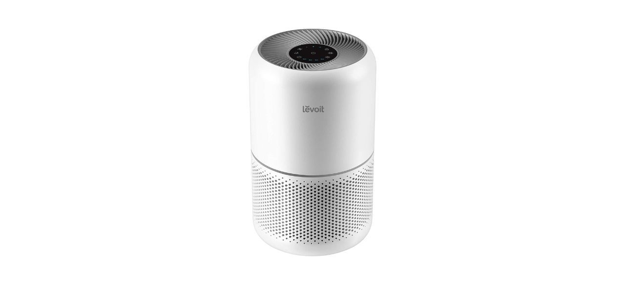 Best LEVOIT Air Purifier