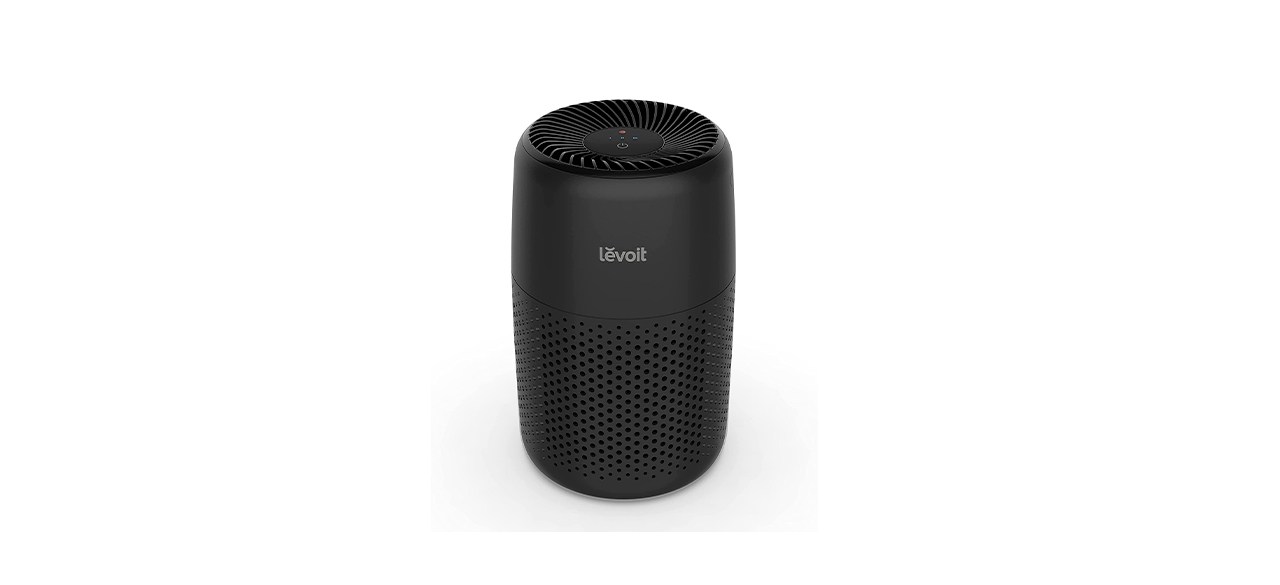 Best Levoit Air Purifier