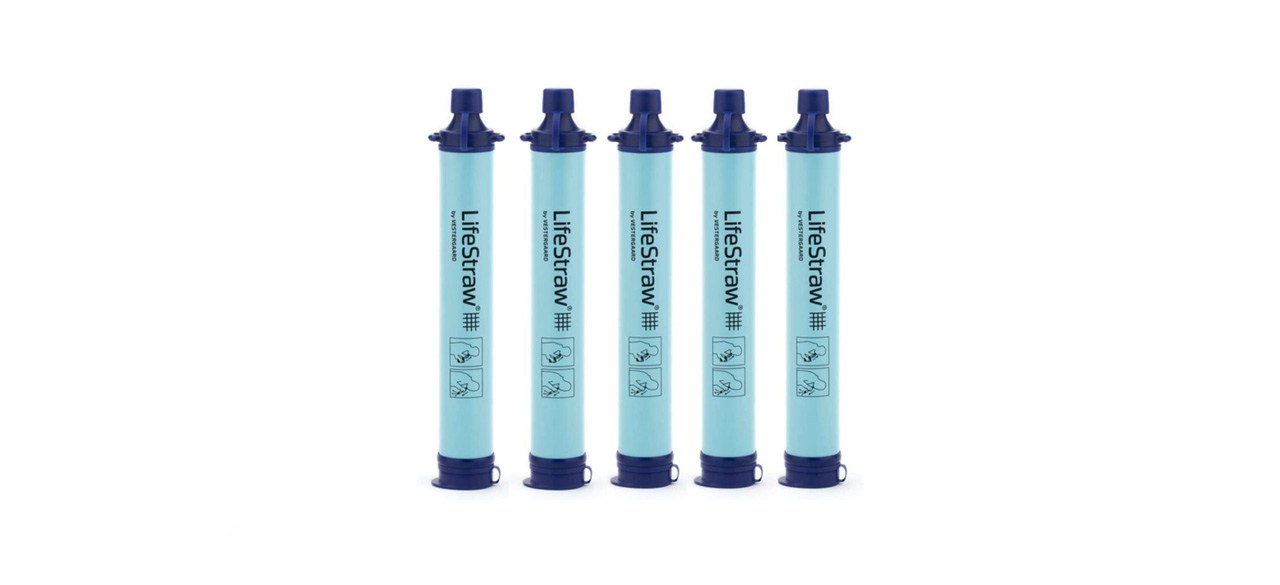 best Lifestraw Personal Water Filter