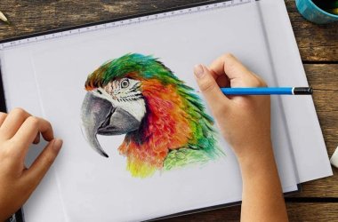 Best light box tracer