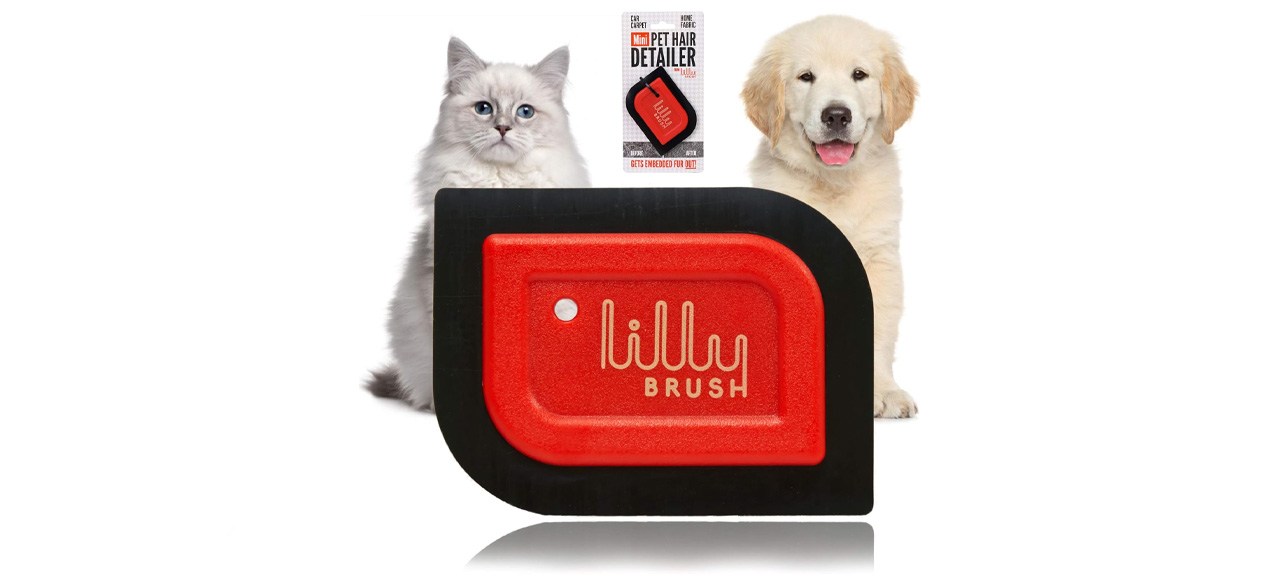 Lilly Brush Mini Pet Hair Detailer Pet-Hair Remover for Car Carpet
