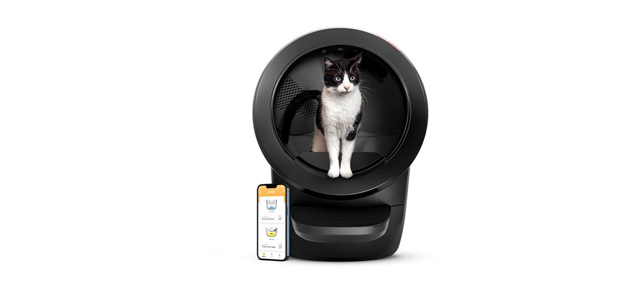 Best Litter-Robot 4