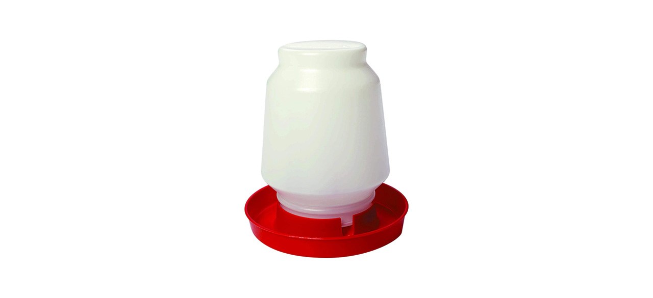 Best Little Giant 1 Gallon Complete Plastic Poultry Fount