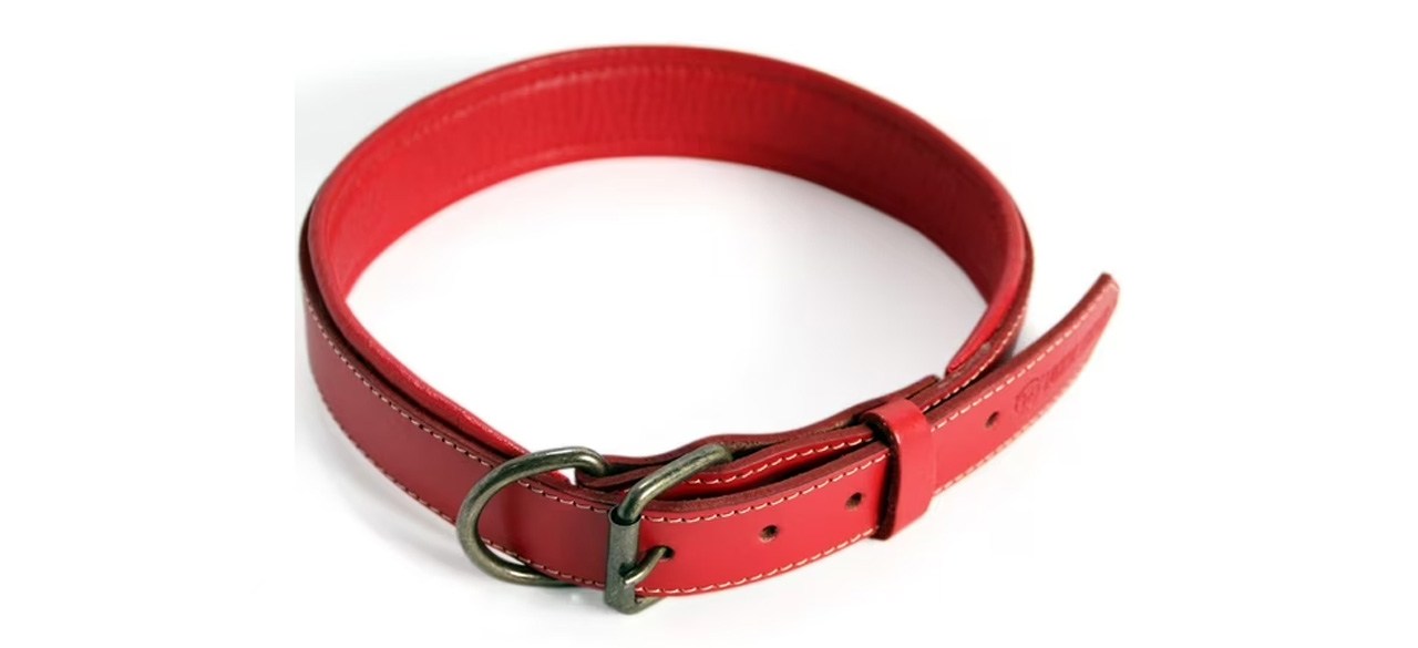 Logical Leather Padded Dog Collar