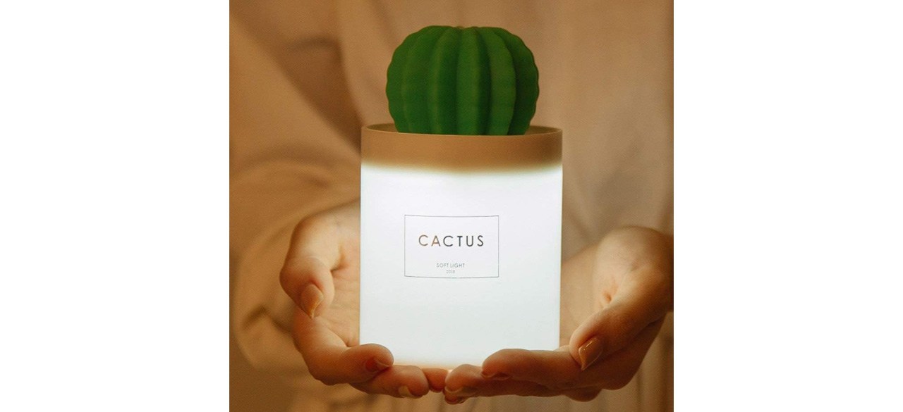 AmuseNd USB Cactus Cool Mist Humidifier