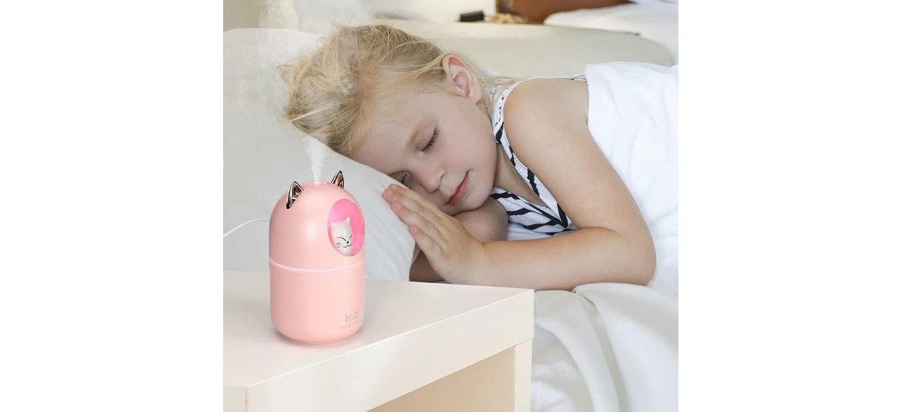 Norhom Cool Mist Cat Humidifier