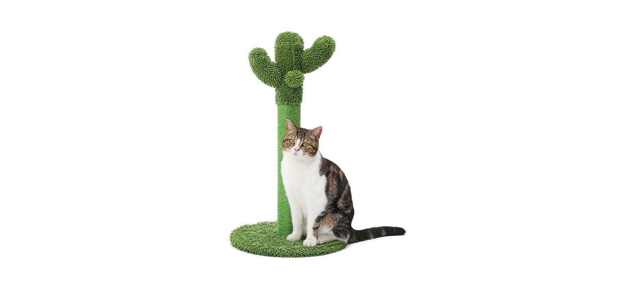 best Made4Pets Cactus Cat Scratch Post