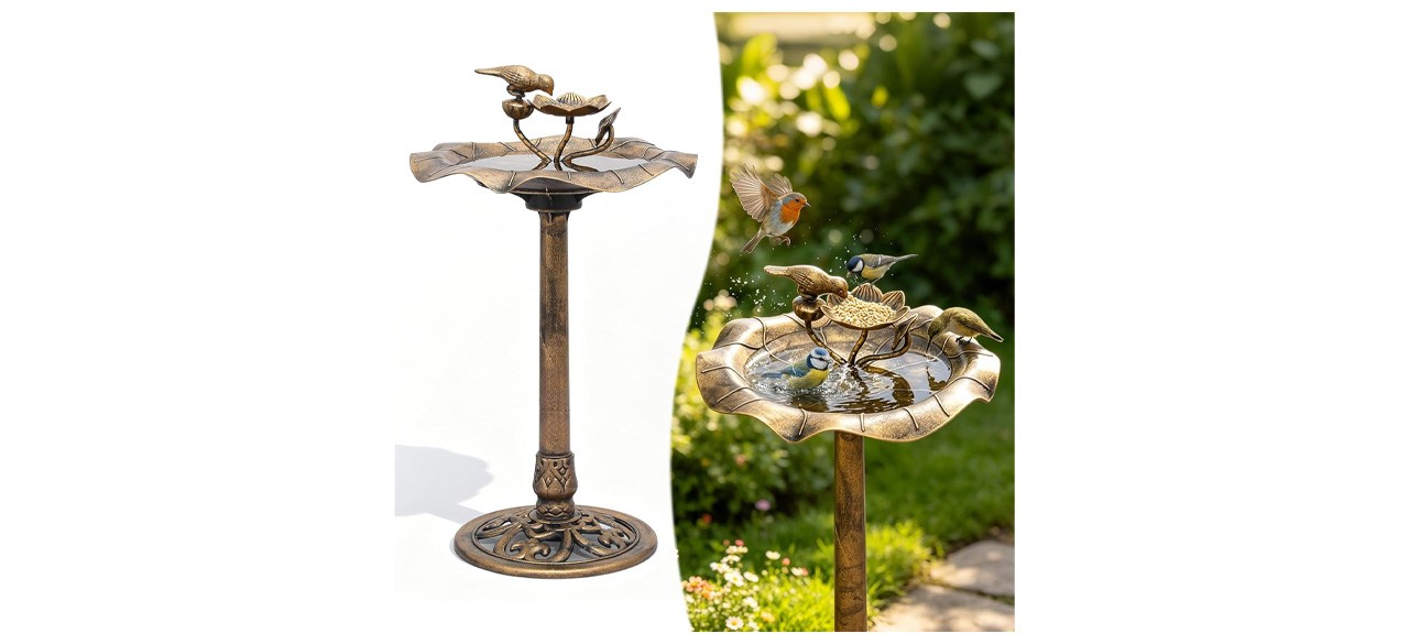 Magshion 35-Inch Bird Bath and Feeder