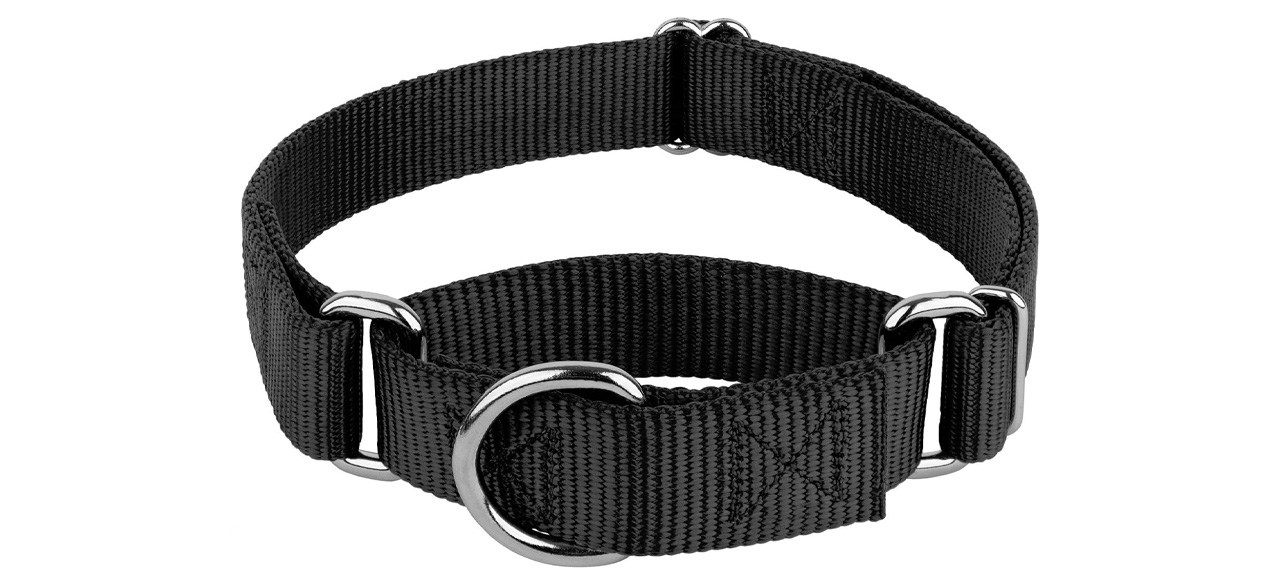 Martingale collars