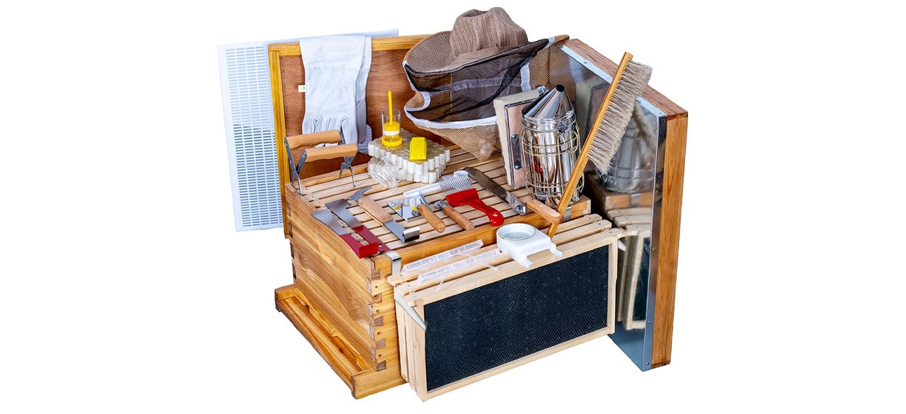 MayBee Beehive Starter Kit