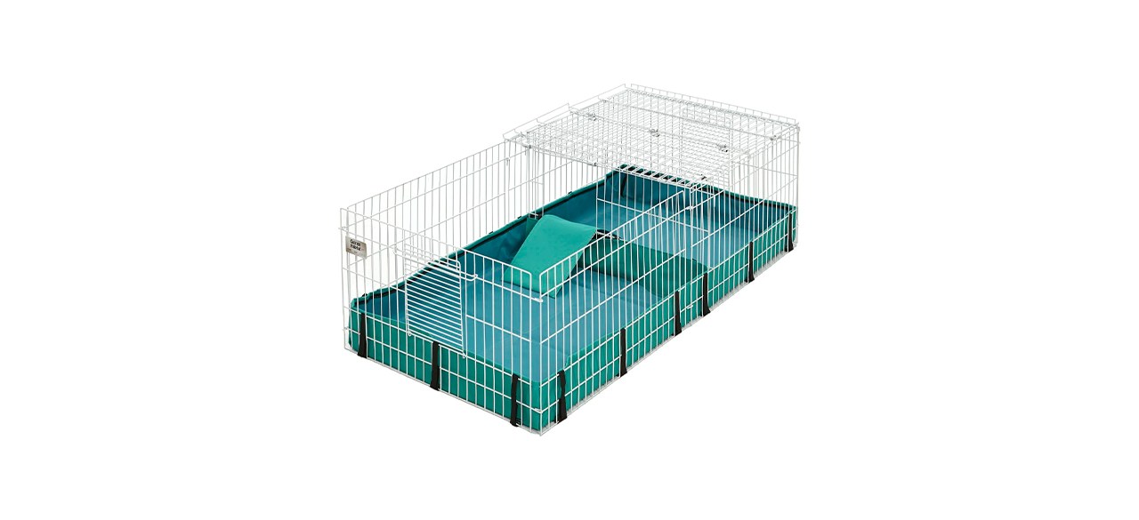 Ideal guinea pig clearance habitat